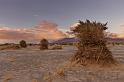 17 death valley, devil's cornfield